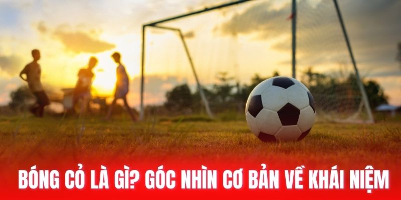 bóng cỏ là gì